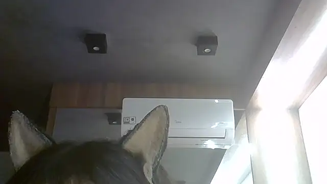 Skinny-Kitten online show from July 28, 2026, 5:25 am