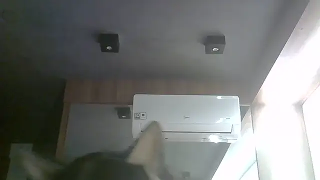 Skinny-Kitten online show from July 30, 2026, 1:26 am