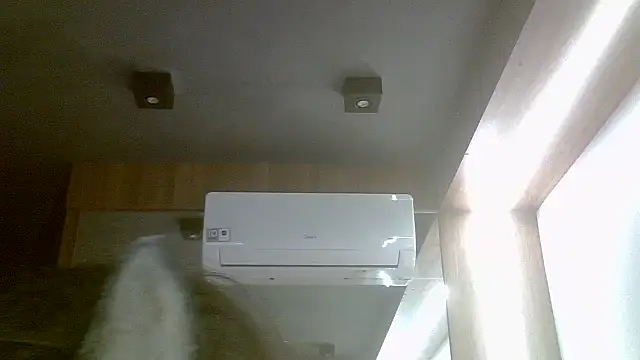 Skinny-Kitten online show from July 31, 2026, 4:39 pm