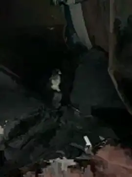 prekumstud online show from February 20, 2026, 11:43 am