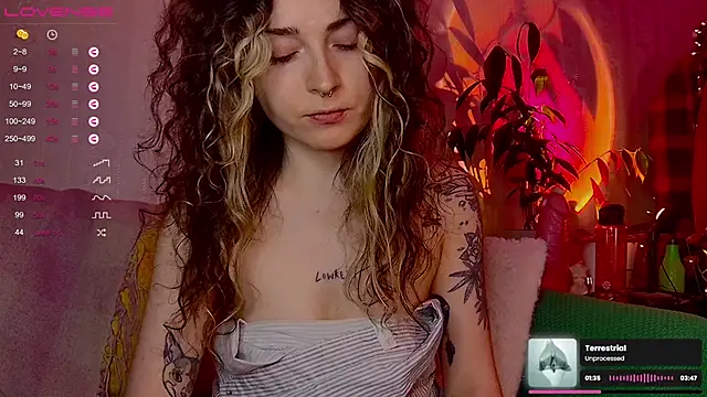 IttyKitty online show from February 12, 2026, 11:55 pm