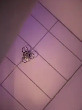 Charly  online show from December 18, 2025, 5:13 am