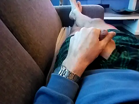 jk1981jk online show from November 16, 2025, 7:14 am