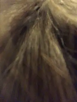  Sweet Love  online show from March 29, 2026, 1:00 pm