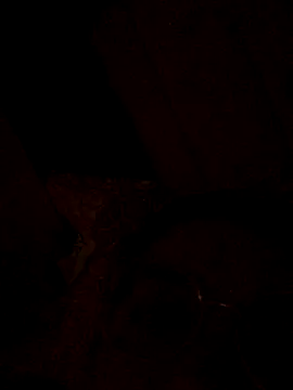 nalalye cruzz  online show from September 29, 2025, 2:27 am