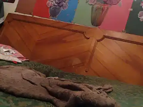 Snapshot of EllyseJenner chatting on December 17, 2024, 6:31 pm EllyseJenner online show from December 17, 2024, 6:31 pm