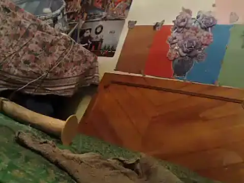 Snapshot of EllyseJenner chatting on January 6, 2025, 6:20 pm EllyseJenner online show from January 6, 2025, 6:20 pm