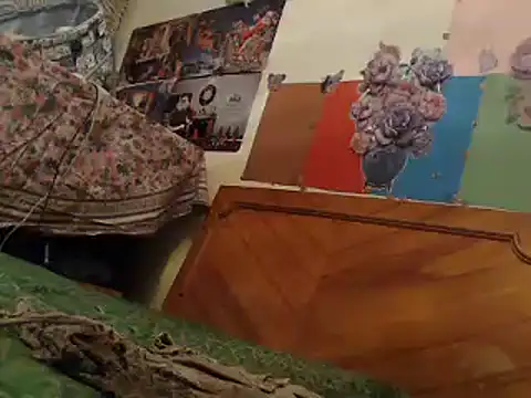 Snapshot of EllyseJenner chatting on January 13, 2025, 6:49 pm EllyseJenner online show from January 13, 2025, 6:49 pm