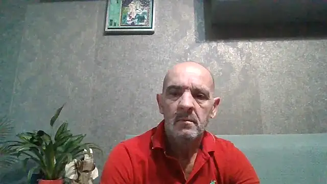 skorpibg65 online show from June 13, 2026, 1:42 pm