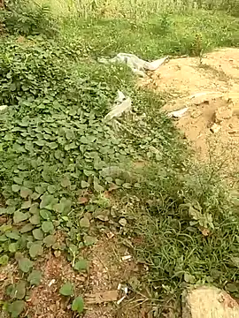 COUPLLE VILLAGE online show from May 19, 2026, 1:44 am