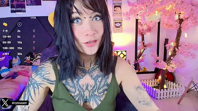 Snapshot of Aryrouse chatting on January 14, 2025, 3:11 am Aryrouse online show from January 14, 2025, 3:11 am