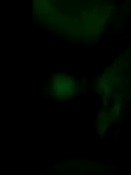 Snapshot of Vuyokaki chatting on November 30, 2025, 2:37 am Vuyokaki online show from November 30, 2025, 2:37 am