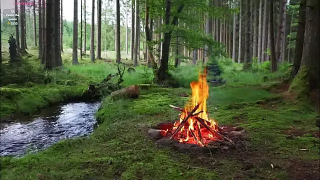 Snapshot of rusbigpaul chatting on February 12, 2025, 7:13 pm rusbigpaul online show from February 12, 2025, 7:13 pm