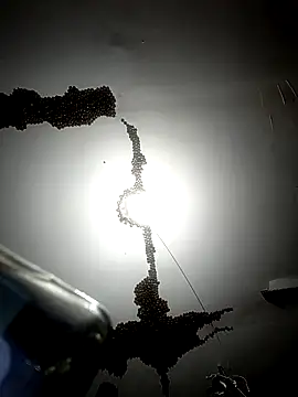 Snapshot of ColdVisitor chatting on February 6, 2026, 1:32 am ColdVisitor online show from February 6, 2026, 1:32 am