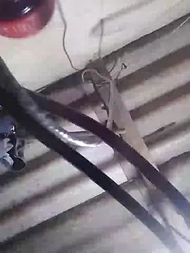 davidatration15 online show from March 5, 2025, 1:10 am