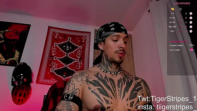 TigerStripes1  online show from March 19, 2026, 6:28 am