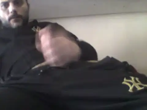 coppiasenzacensura online show from February 15, 2025, 1:38 pm