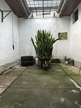 oliver price1 online show from November 12, 2025, 9:14 pm