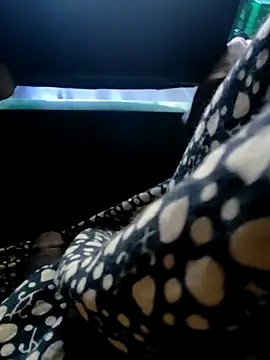 Kolkata   Boy online show from December 7, 2024, 2:20 am